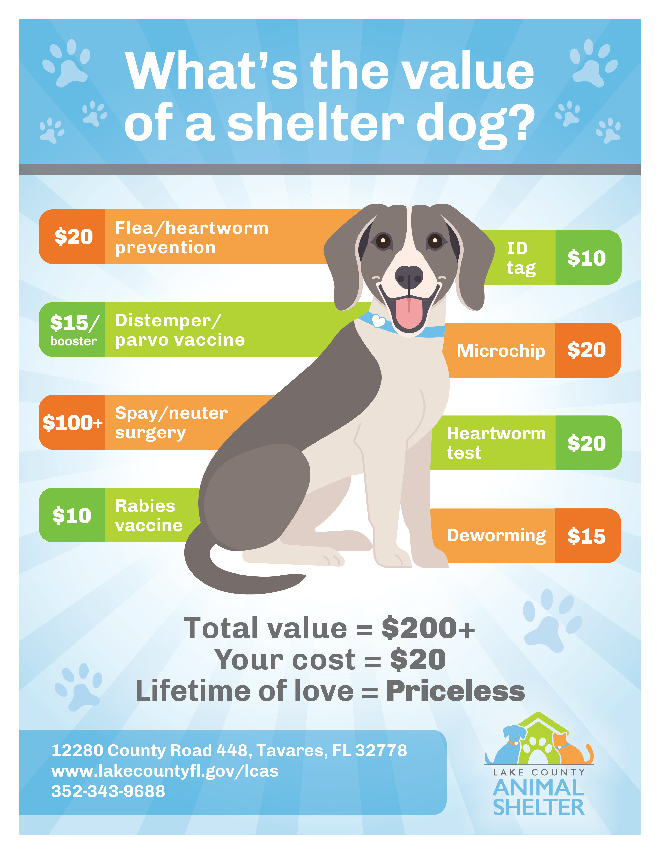 II. How to Choose the Right Shelter for Adoption