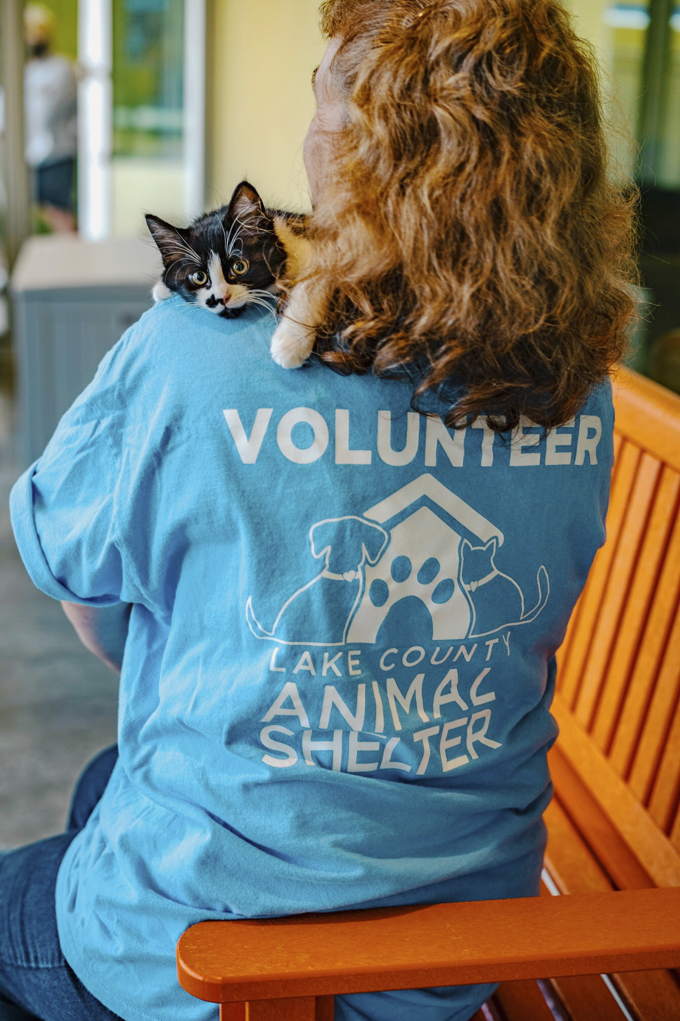 Volunteer with Lake County Animal Shelter
