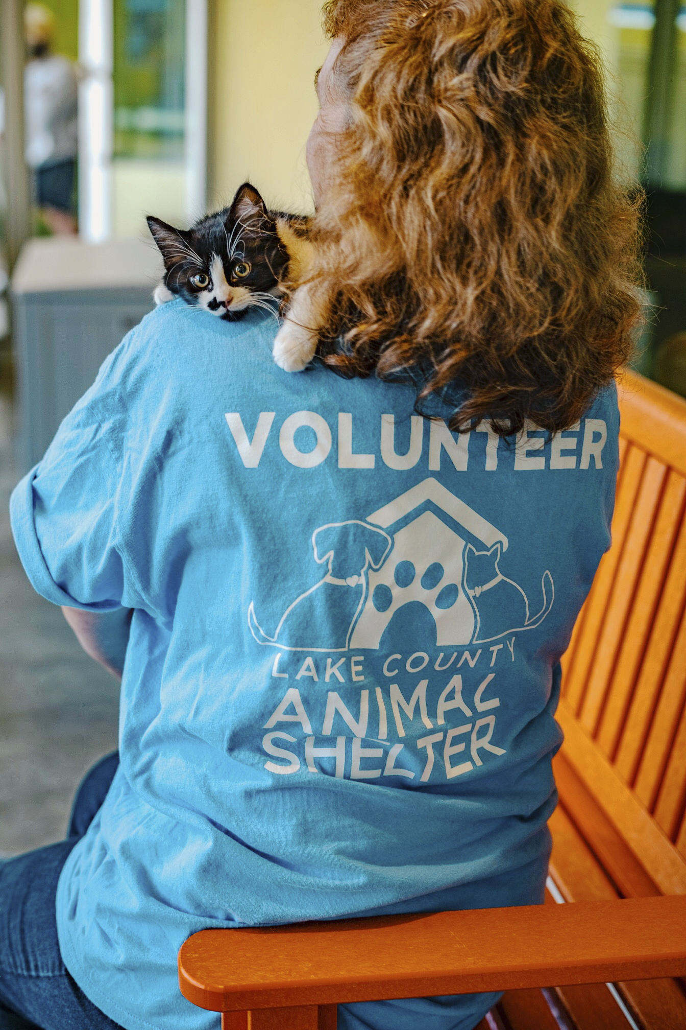 volunteering animal shelter